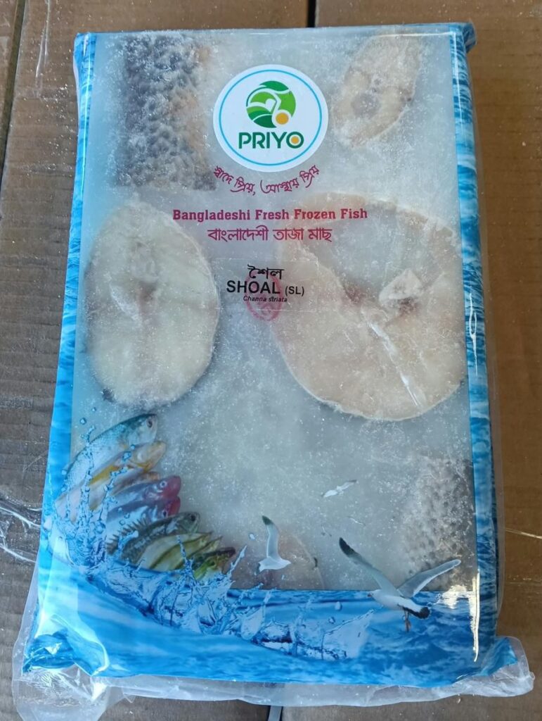 Shoal Fish Slices