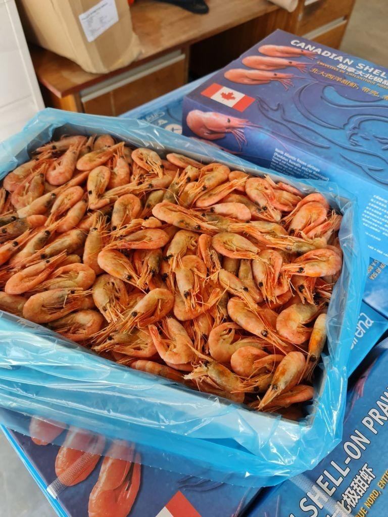Canadian Cooked Shell-on Prawns