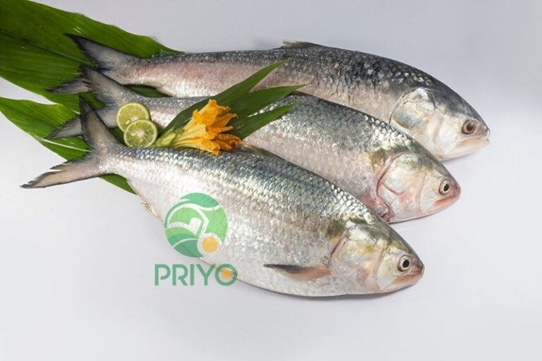 Whole Hilsa Fish