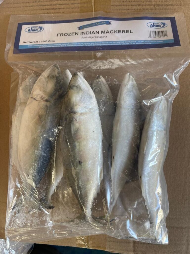 Frozen Indian Mackerel