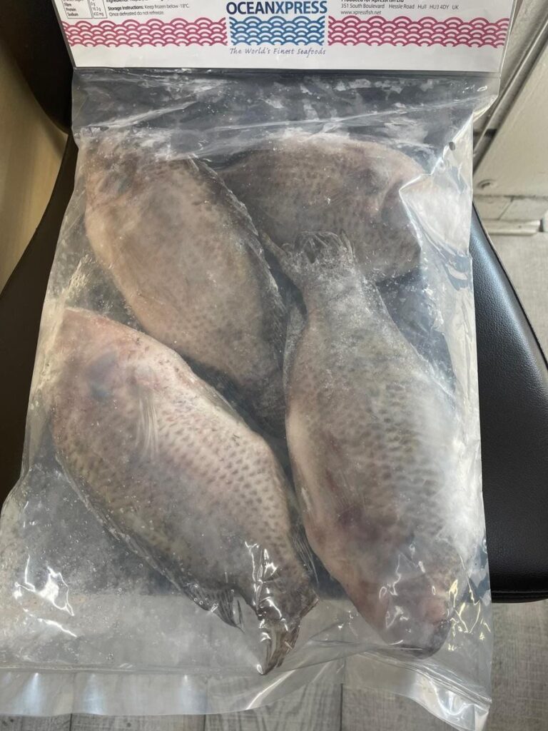 Whole Tilapia — Oceanxpress