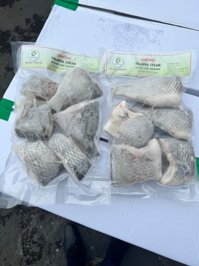 Tilapia Steaks — Priyo