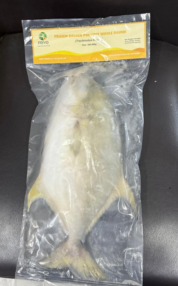 Whole Golden Pomfret — Priyo, 500–600g