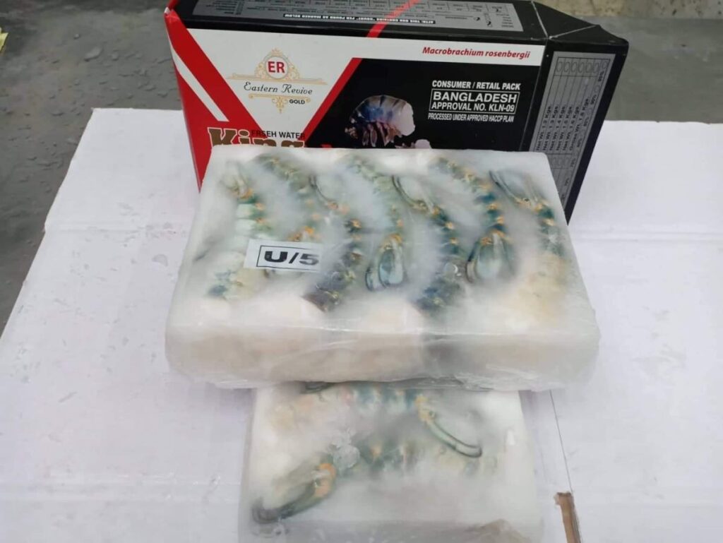 Freshwater King Prawns Block — U/5, Eastern Revive Gold